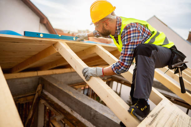 Best Roof Gutter Cleaning  in Tn Lakes, WI