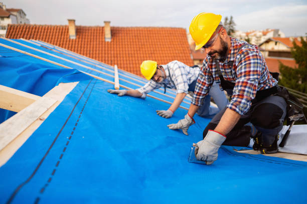 Best Roof Replacement Cost  in Tn Lakes, WI